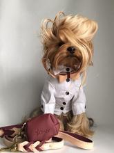 Luscious Bow Leash