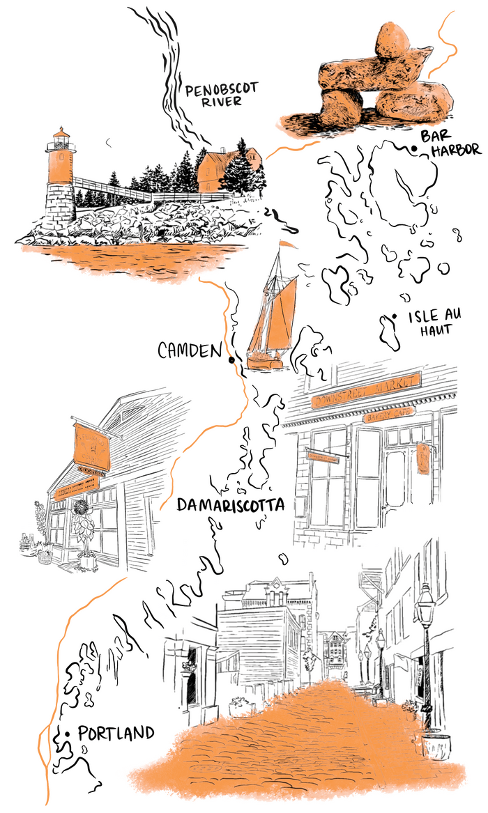 Maine Coast Field Guide