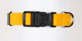 Marigold Quick Release Collar