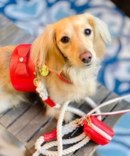 Melting Hearts Waste Bag Holder