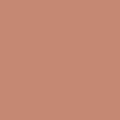 Shop the paint color 1194 Mexican Tile by Benjamin Moore at Anderson Paint Company in Ann Arbor, Michigan.