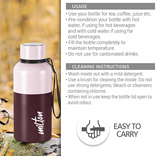Milton Ancy 500 Thermosteel Water Bottle, 520 ml