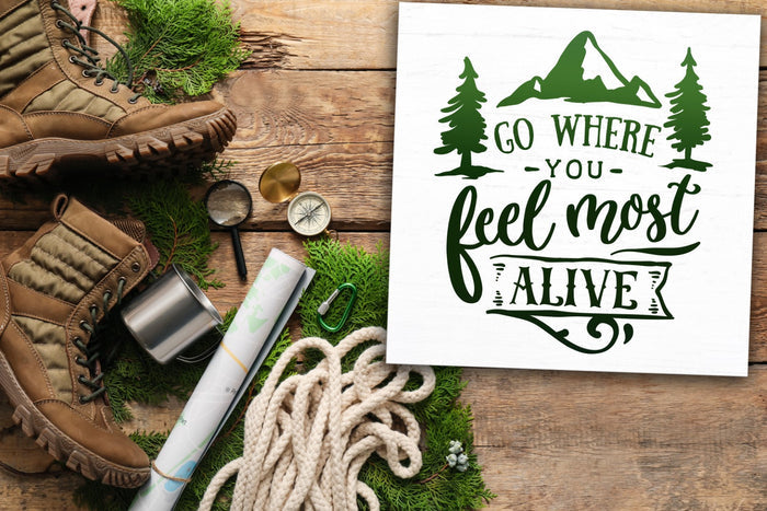 Go Where You Feel Most Alive