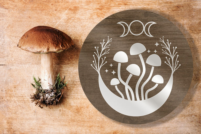 Six Mushroom Cap Moon w/Phases