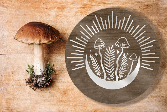 Three Shroom Moon w/Ferns & Rays