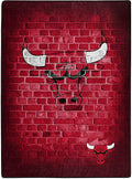NBA Chicago Bulls Twin Blanket