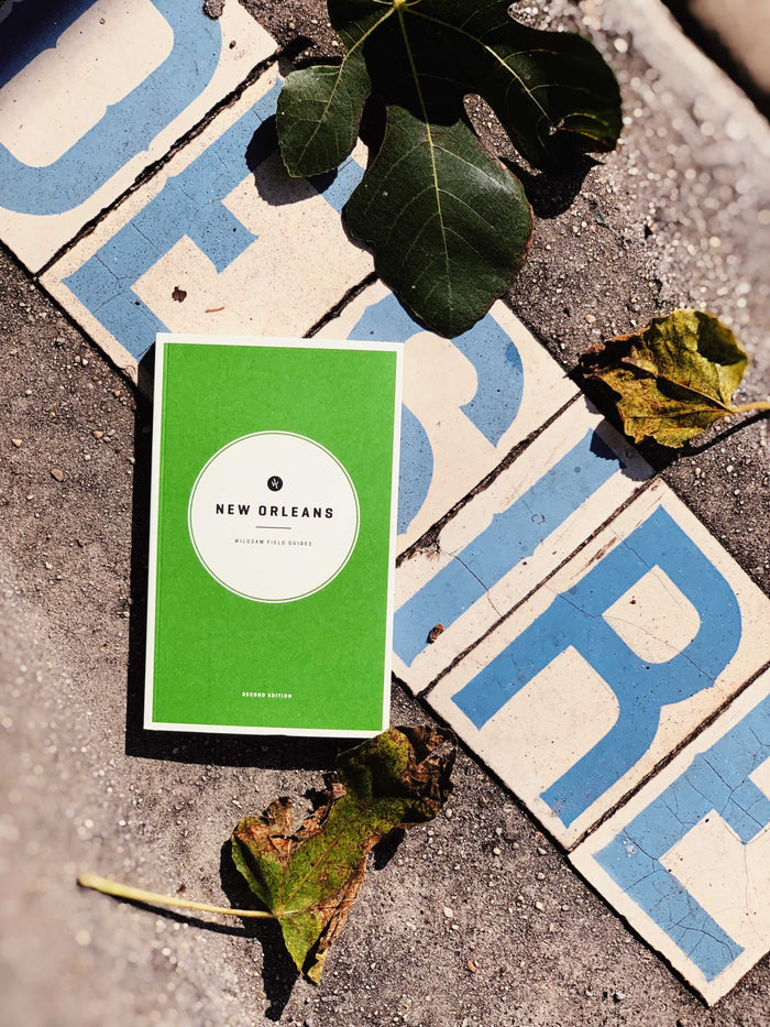 New Orleans Field Guide
