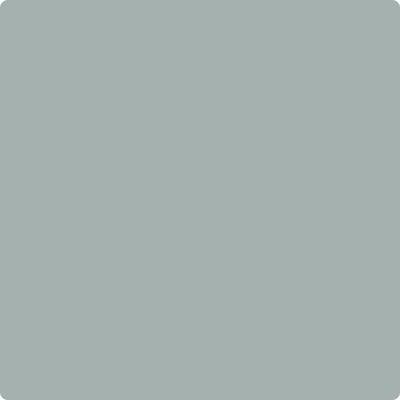 Shop the paint color CC-720 Night Train by Benjamin Moore at Anderson Paint Company in Ann Arbor, Michigan.