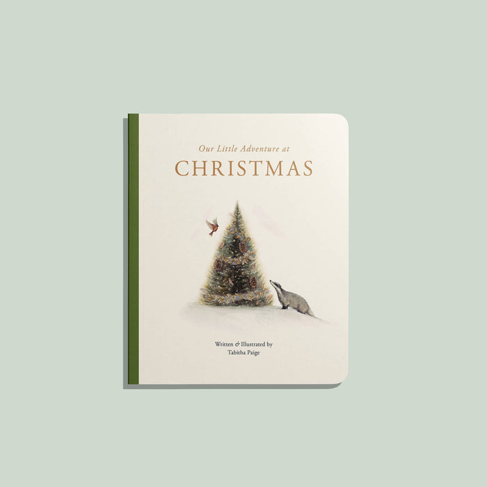 Our Little Adventure at Christmas (Baby's first Christmas)