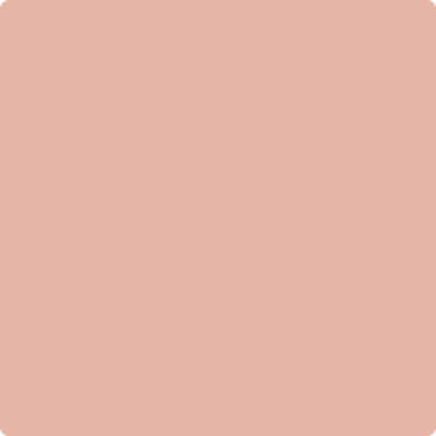 Shop the paint color 1199 Peach Mousse by Benjamin Moore at Anderson Paint Company in Ann Arbor, Michigan.
