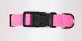 Perfect Pink Quick Release Collar
