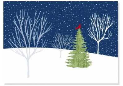 Peter Pauper Press - Deluxe Holiday Boxed Cards