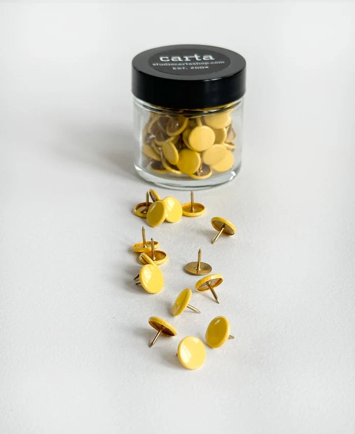 Puntine- Italian push pins