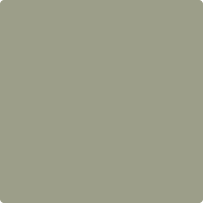 Shop the paint color CC-560 Raintree Green by Benjamin Moore at Anderson Paint Company in Ann Arbor, Michigan.