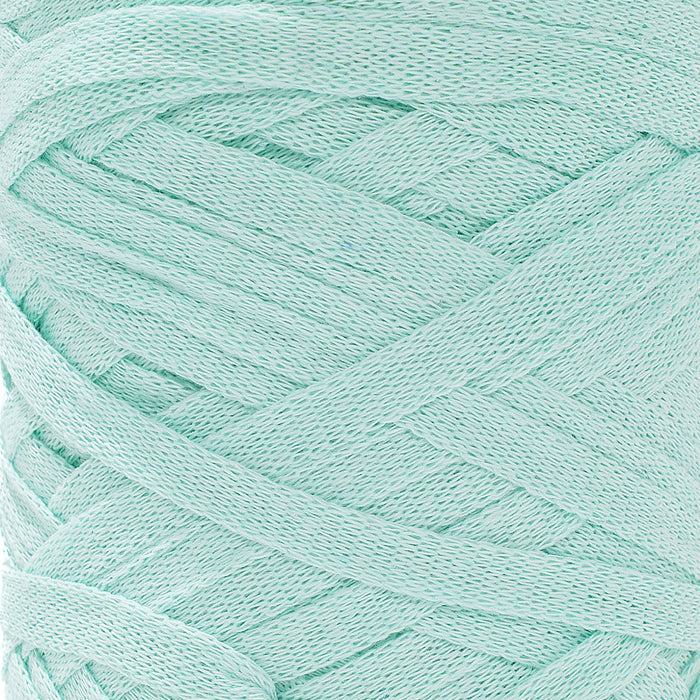 Ribbon Tape Yarn - Mint Color