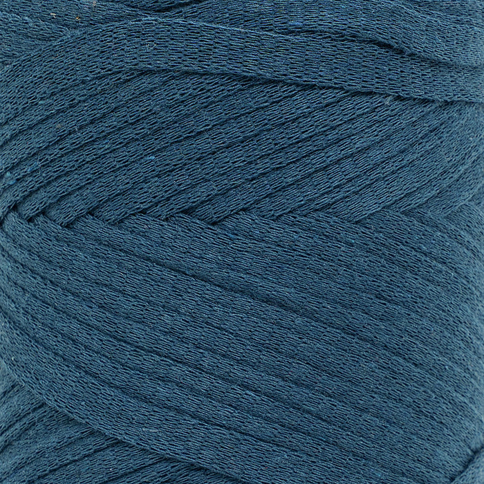 Ribbon Tape Yarn - Peacock Color