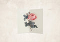 Rose Pop-up Artisan Florals Card