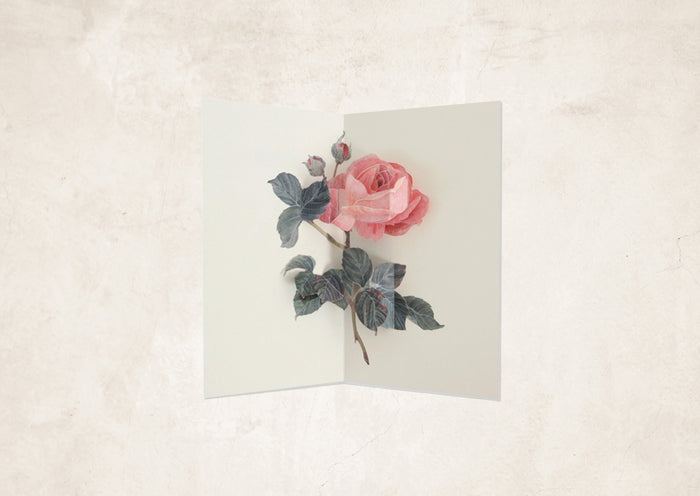 Rose Pop-up Artisan Florals Card