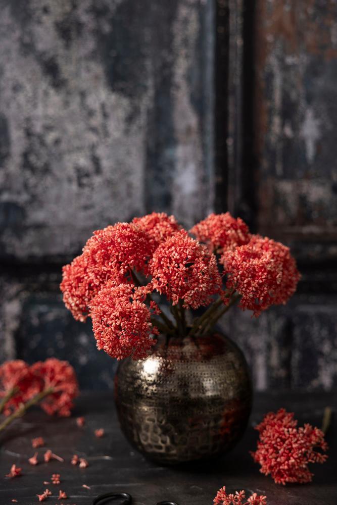 Sedum-Garnet
