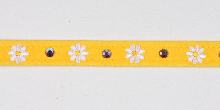 Small Daisies Collar