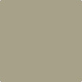 Shop the paint color CC-602 Stanley Park by Benjamin Moore at Anderson Paint Company in Ann Arbor, Michigan.
