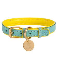 Sunshine Babe Collar