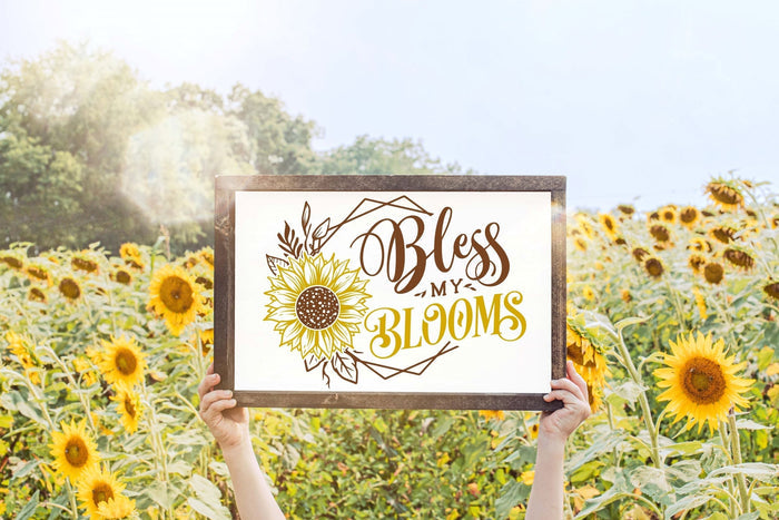 Bless My Blooms 12" x 18" Framed