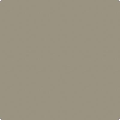 Shop the paint color CC-696 Taiga by Benjamin Moore at Anderson Paint Company in Ann Arbor, Michigan.