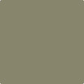 Shop the paint color CC-694 Tapenade by Benjamin Moore at Anderson Paint Company in Ann Arbor, Michigan.