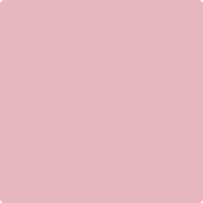 Shop the paint color 1270 Tara by Benjamin Moore at Anderson Paint Company in Ann Arbor, Michigan.