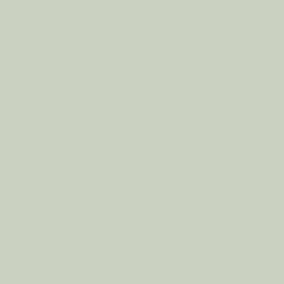 Shop the paint color CC-610 Tea Light by Benjamin Moore at Anderson Paint Company in Ann Arbor, Michigan.