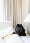 The Feather Duster