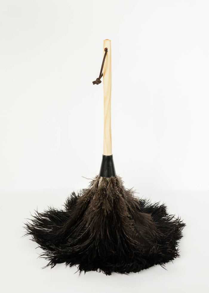 The Feather Duster