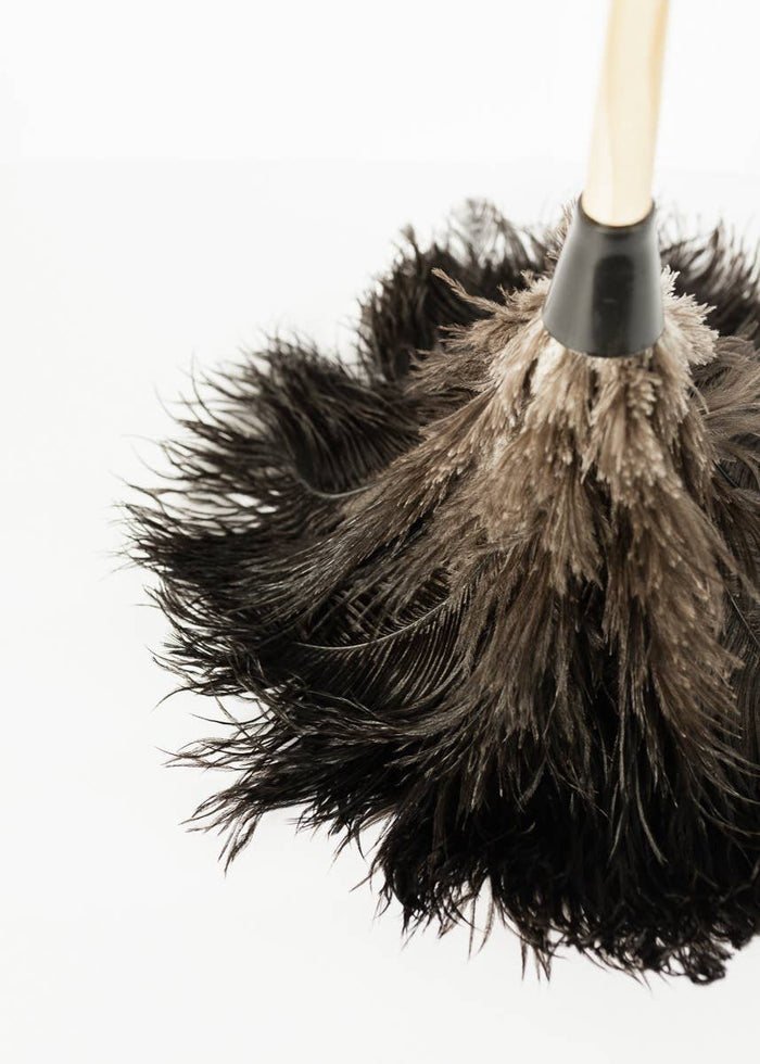 The Feather Duster