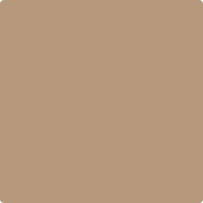 Shop the paint color CC-486 Tiramisu by Benjamin Moore at Anderson Paint Company in Ann Arbor, Michigan.