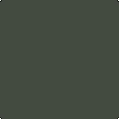 Shop the paint color CC-692 Topsoil by Benjamin Moore at Anderson Paint Company in Ann Arbor, Michigan.
