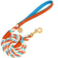 Vibrant Sunset Leash