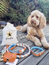 Vibrant Sunset Leash