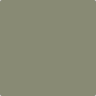 Shop the paint color CC-722 Vineland by Benjamin Moore at Anderson Paint Company in Ann Arbor, Michigan.