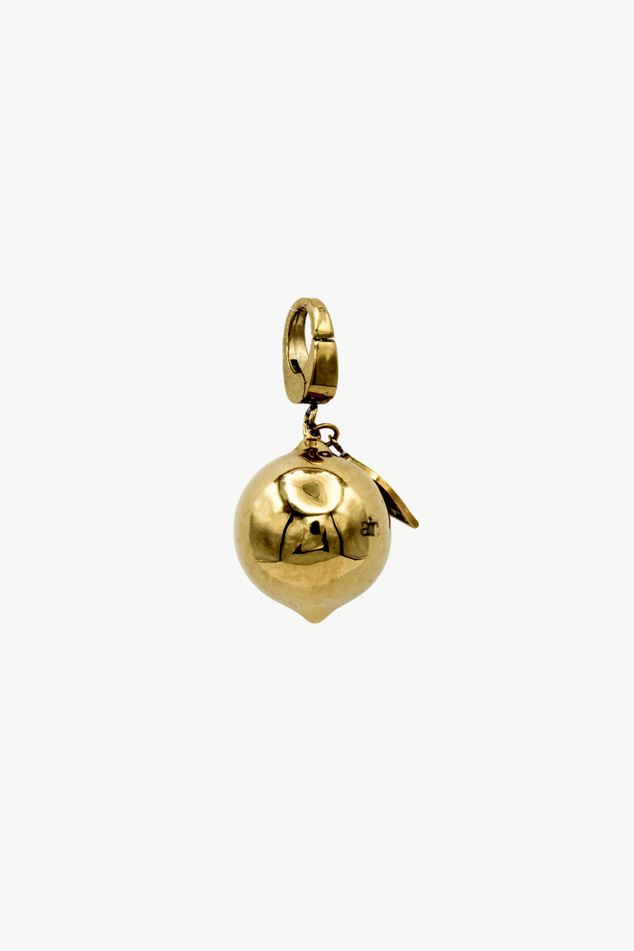When Life Gives You Lemons Charm