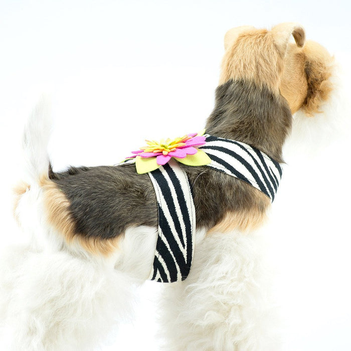 Zebra Tinkie Harness